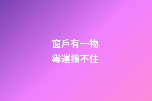 窗戶有一物 霉運攔不住